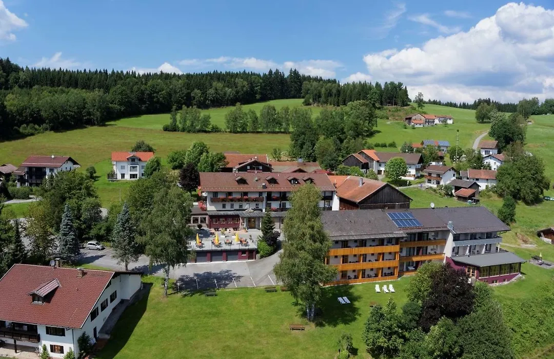 Hotel der Bäume-1